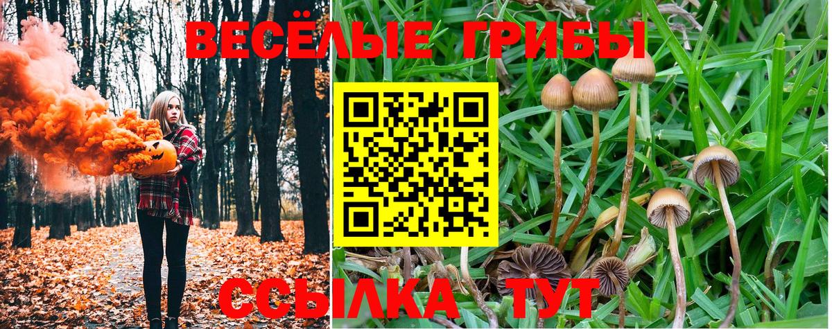 Псилоцибиновые грибы Magic Shrooms  Вход с VPN  Выборг  Галлюциногенные грибы MAGIC MUSHROOMS 